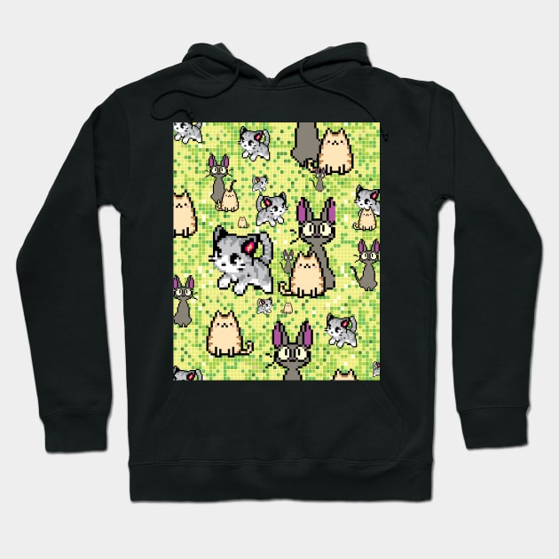 cats and kittens 2 Hoodie by B&K